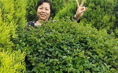 张津瑜的视频没地方看了吗